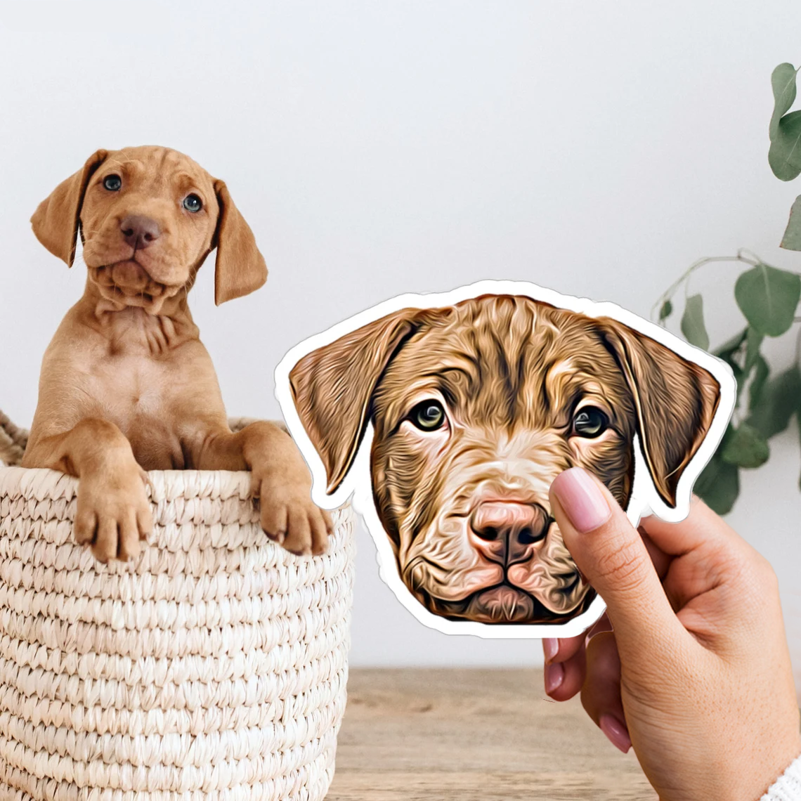 3x Adhesivo personalizado para su mascota